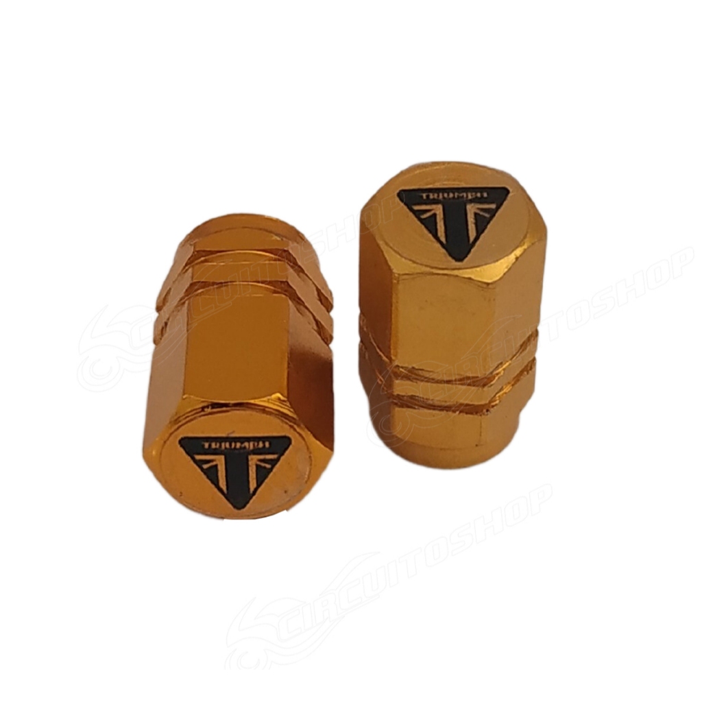 Tampa Bico Valvula Pneu Roda Capa M02 Moto Trident 660