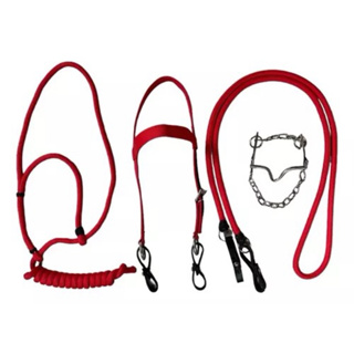 Freio Água Choca Leve Inox+Cabresto+Rédea+Cabeçada em Oferta na Shopee