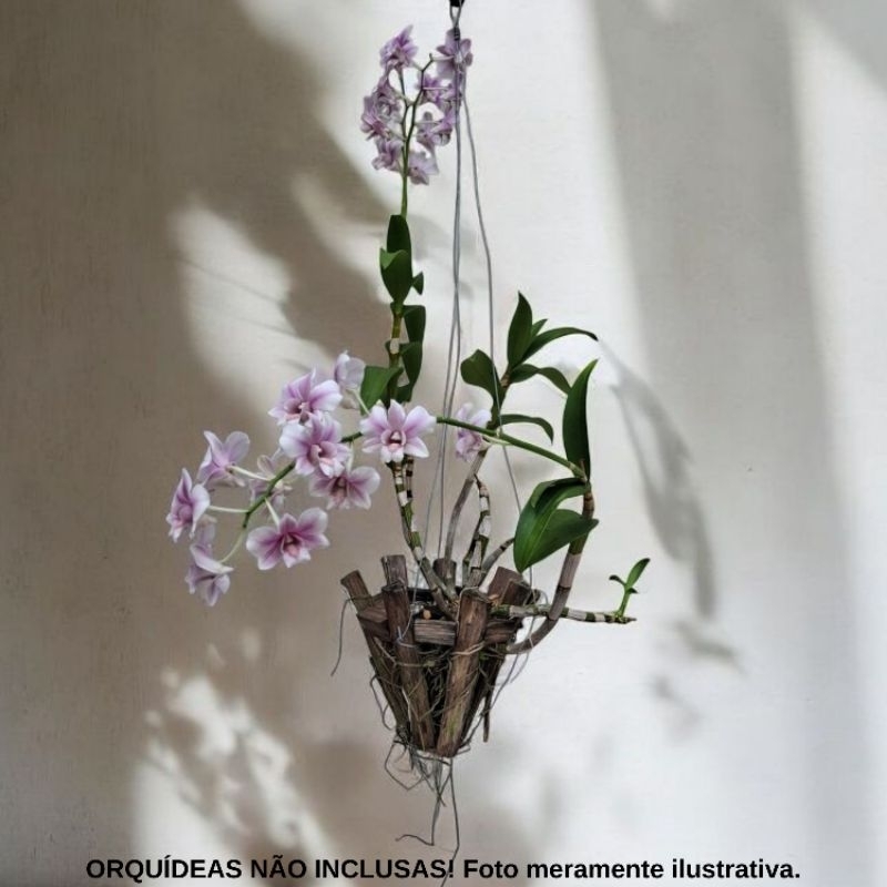 Suporte para Orquídeas Cachepot Sansão-do-Campo P/M/G