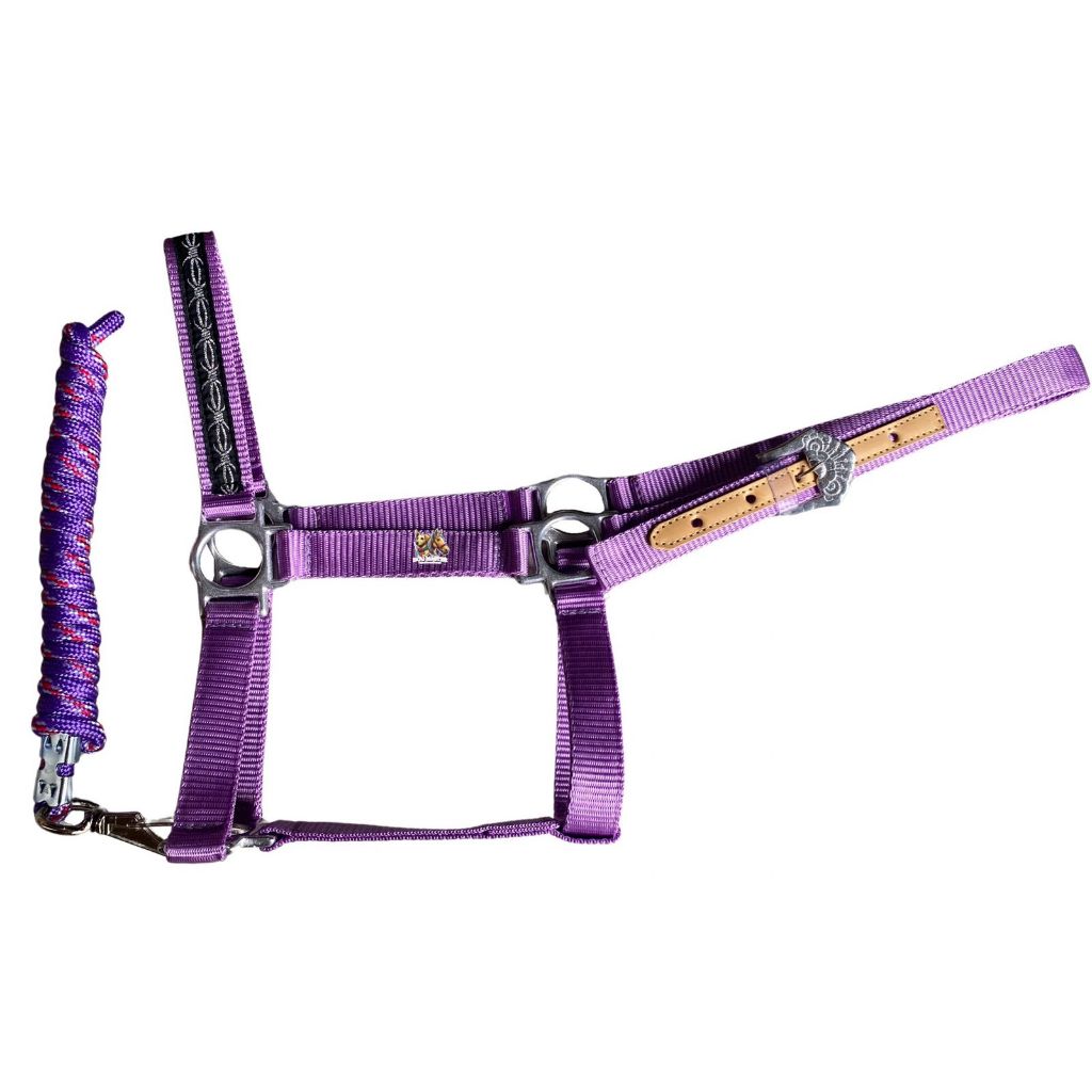 Sela de Montaria de Cavalo: Onde Comprar | BuscaProdutos