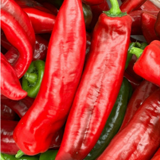 Sementes de Pimenta Doce Italiana em Oferta na Shopee