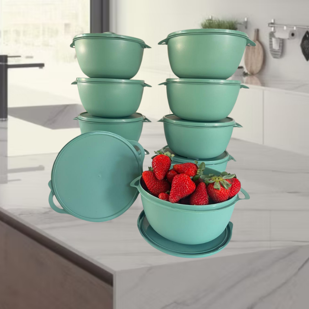 Kit 10 Potes Plástico BOWL Marmita Vasilha Tapoer em Oferta na Shopee