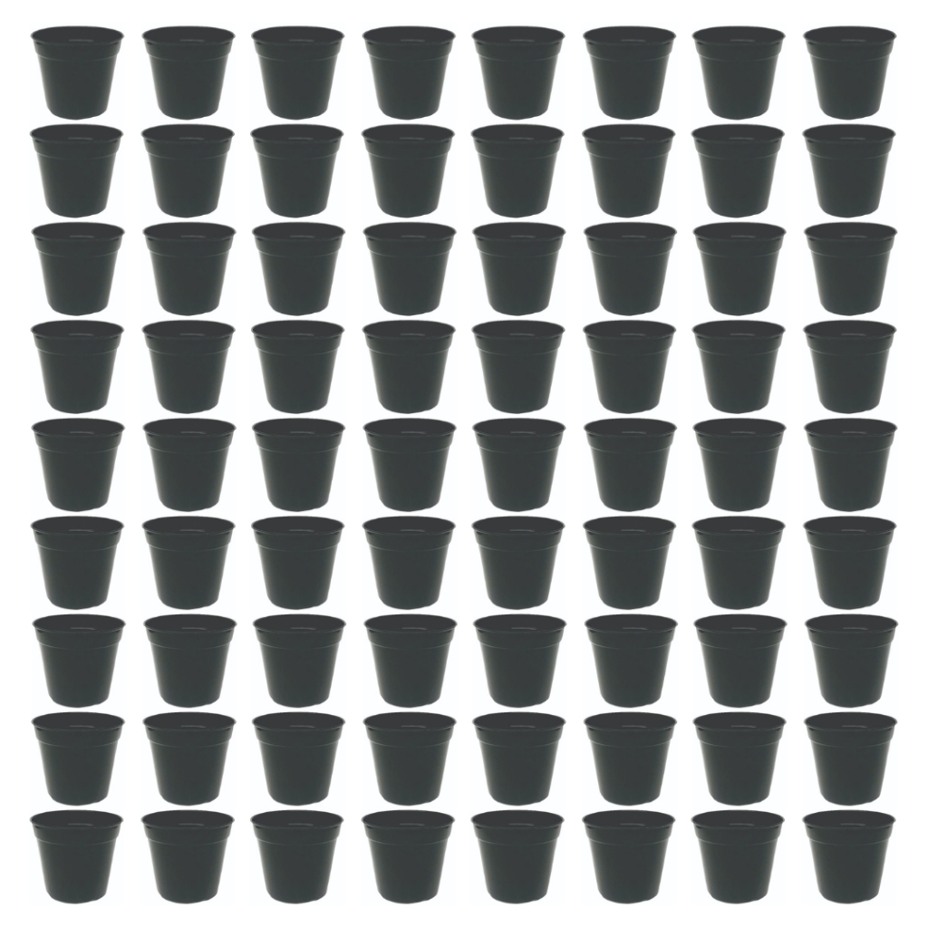 Kit 100 Vasos 80ml  Decorativo Suculentas/Plantas e Flores Decorativo Cores Pote 6 Mini Redondo em Oferta na Shopee