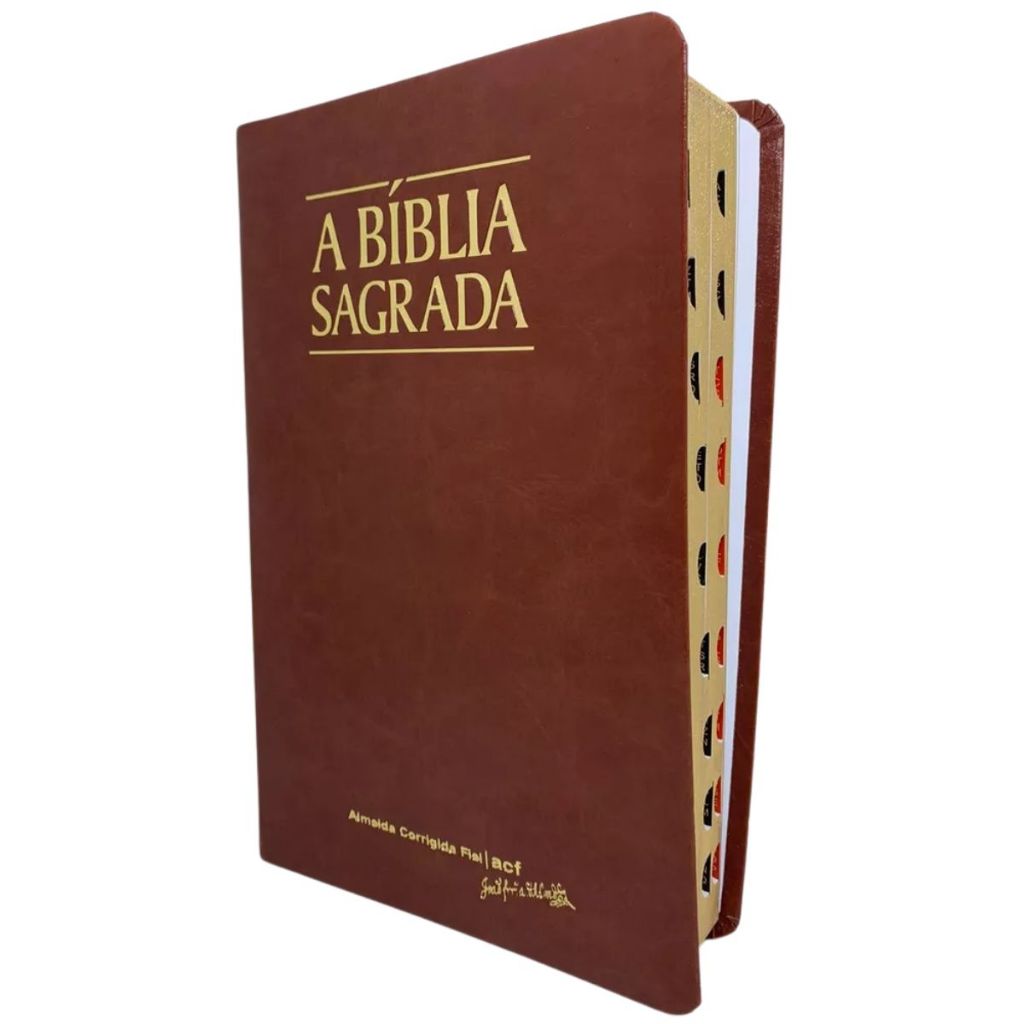Bíblia Letra Gigante Almeida: Onde Comprar | BuscaProdutos