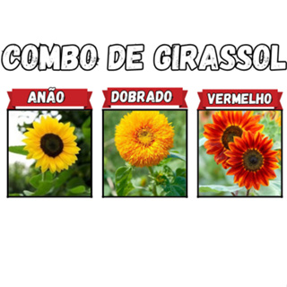 Trio De Girassóis  Sementes De Girassóis Sortidos! Originais Isla Ou Feltrin em Oferta na Shopee