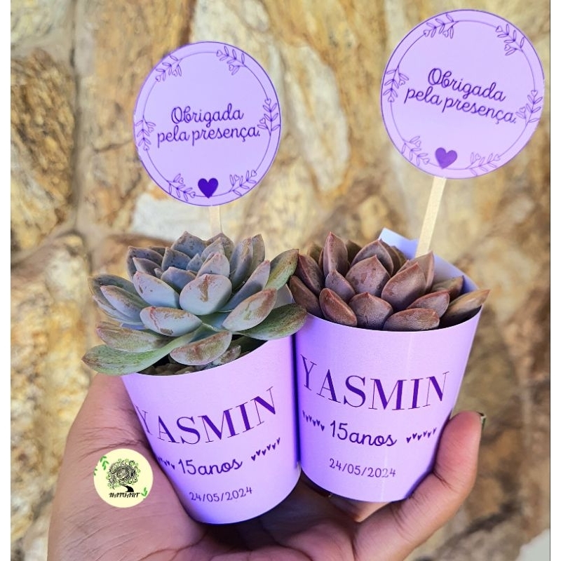 Rótulos e plaquinhas personalizadas para suculentas pote 6. Para aniversários, casamentos, lembracinhas