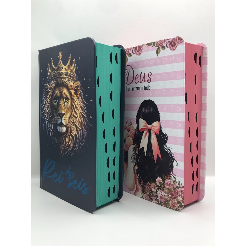 Kit 2 Bíblias Sagrada Tamanho Médio 12,5x19 cm Com Harpa palavras de Jesus em vermelho em Oferta na Shopee