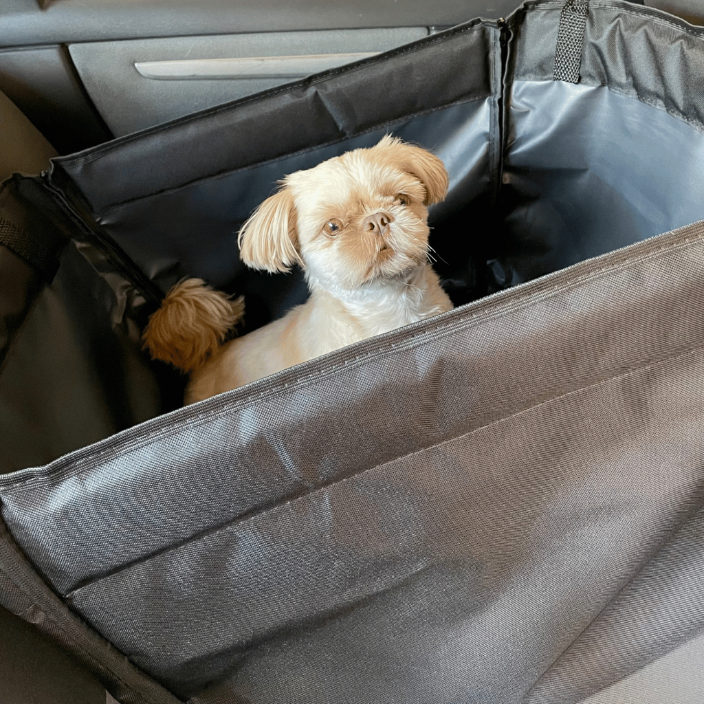 Capa Protetora Banco Individual Carro Para Pet Impermeável Cachorro Cão Gato Animais e Cinto de Segurança em Oferta na Shopee