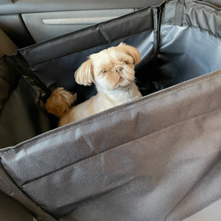 Capa Protetora Banco Individual Carro Para Pet Impermeável Cachorro Cão Gato Animais e Cinto de Segurança em Oferta na Shopee