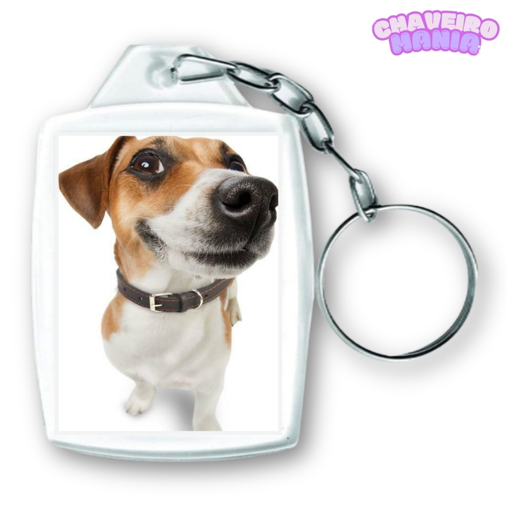 Chaveiro meme Cachorro a a folou - Frente e verso, 3x4cm, alta qualidade de impressão. em Oferta na Shopee