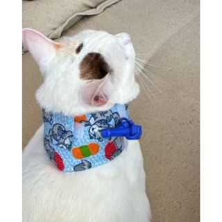 colar contenção de sonda esofágica pra gato em Oferta na Shopee