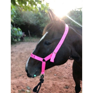 cabresto para cavalos personalizado, produto direto da fábrica entrega imediata várias cores em Oferta na Shopee
