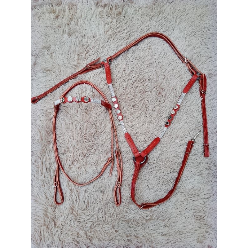 Cabeçada e Peitoral com apliques, em couro legítimo tratado, trança exclusiva da nossa selaria. PROMOÇÃO