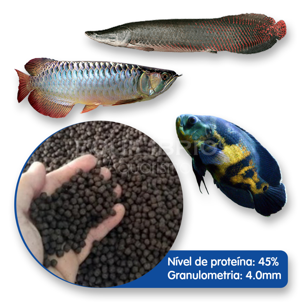 Ração P/ Peixes Laguna Carnívoros 45% Pct 2kg Pirarucu Oscar Aruana