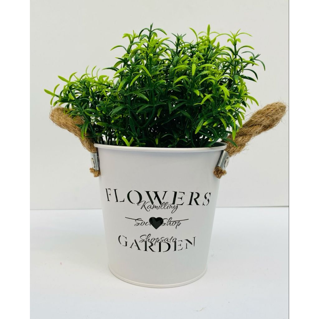 Aspargos Brancos: Onde Comprar | BuscaProdutos