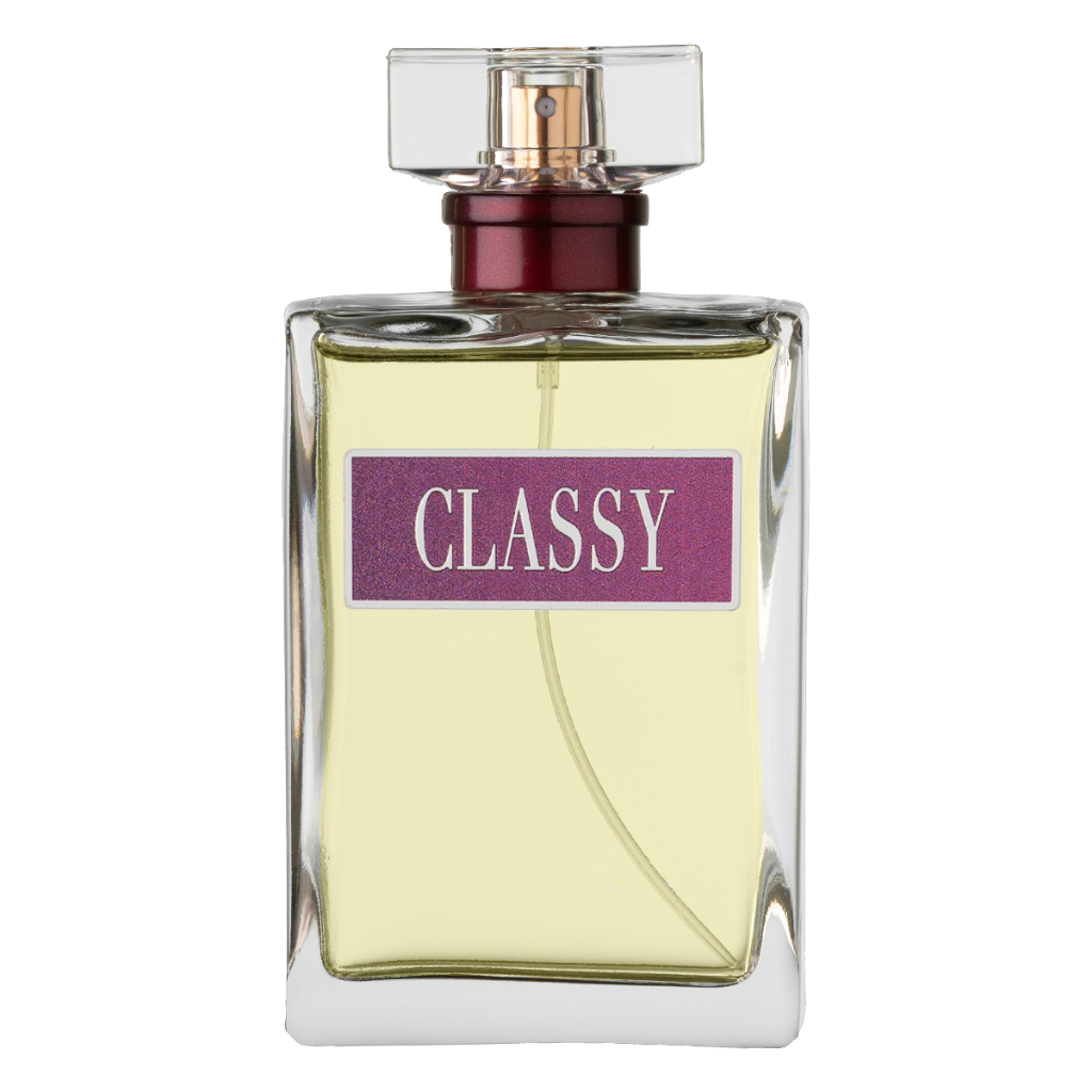 PERFUME FEMININO CLASSY - PRIMACIAL PERFUME ORIENTAL FLORAL em Oferta na Shopee