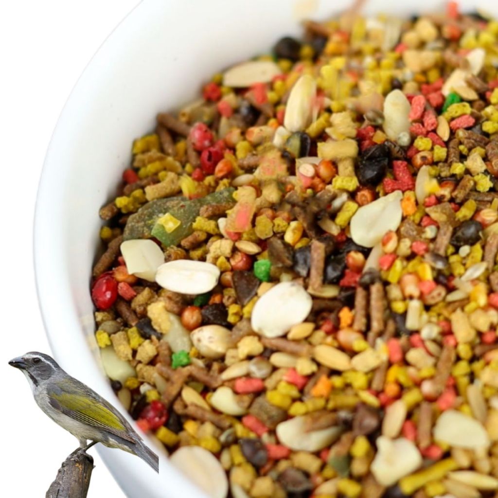 Cantos de Passaros Trinca Ferro: Onde Comprar | BuscaProdutos