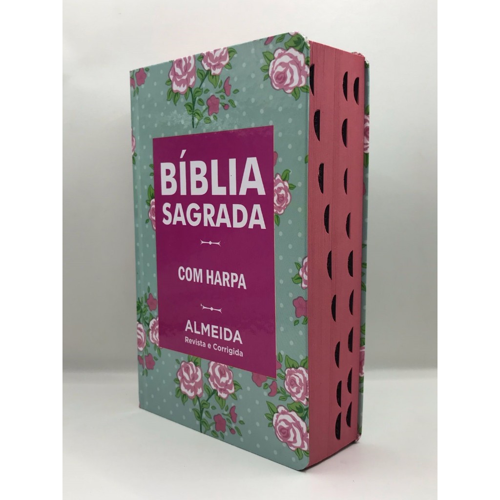 Bíblia Sagrada Tamanho Médio 12,5x19 cm Com Harpa palavras de Jesus em vermelho