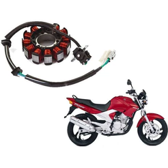 Estator Completo Com Bobina Fazer 250 Lander 250 06 Até 10