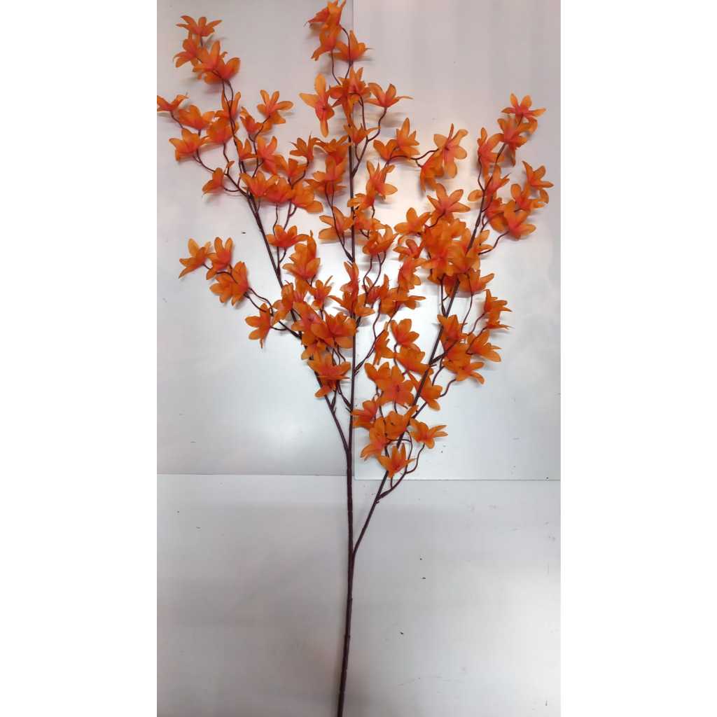 Magnólia Kobus CC-340 em Oferta na Shopee