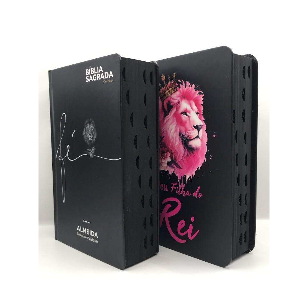 Kit 2 Bíblias Sagrada Tamanho Médio 12,5x19 cm Com Harpa Palavras de Jesus em Vermelho
