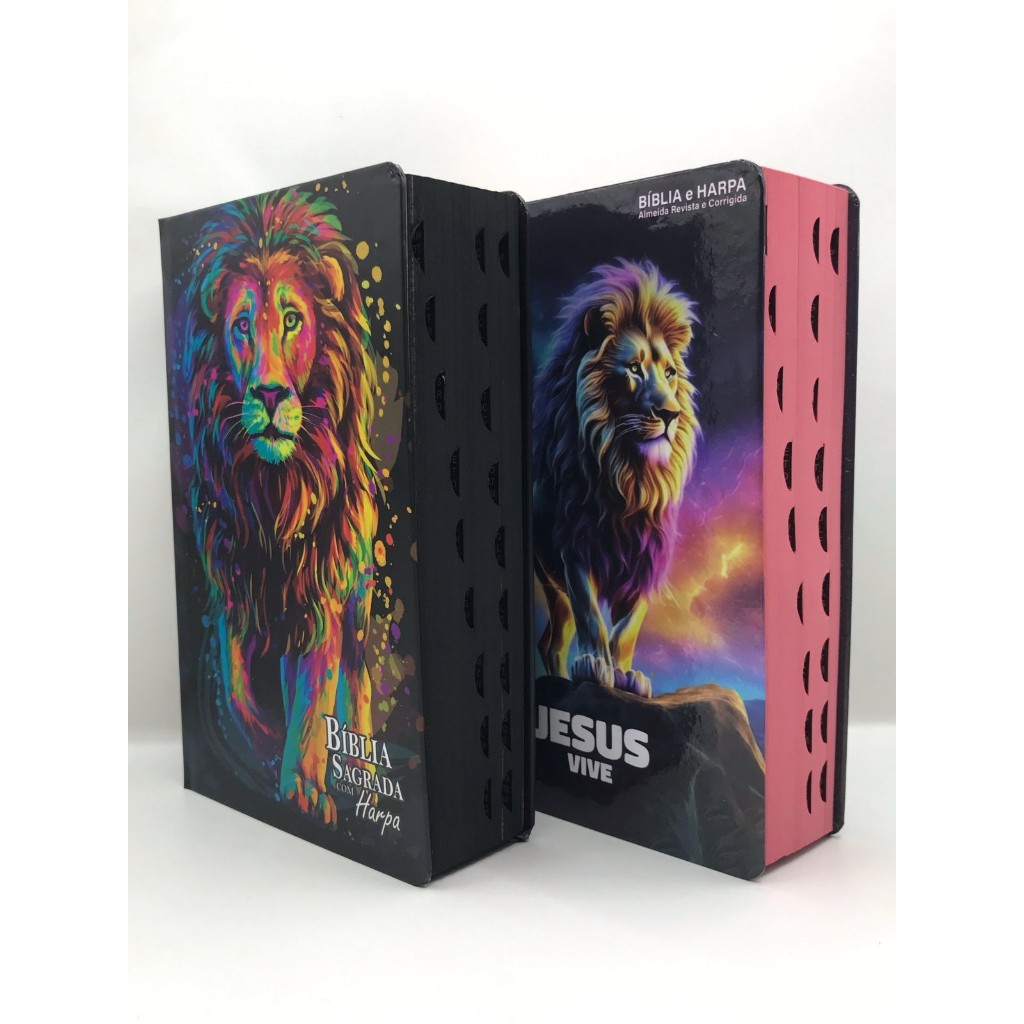 Kit 2 Bíblias Sagrada  Tamanho Médio 12,5x19 cm Com Harpa Palavras de Jesus em Vermelho em Oferta na Shopee