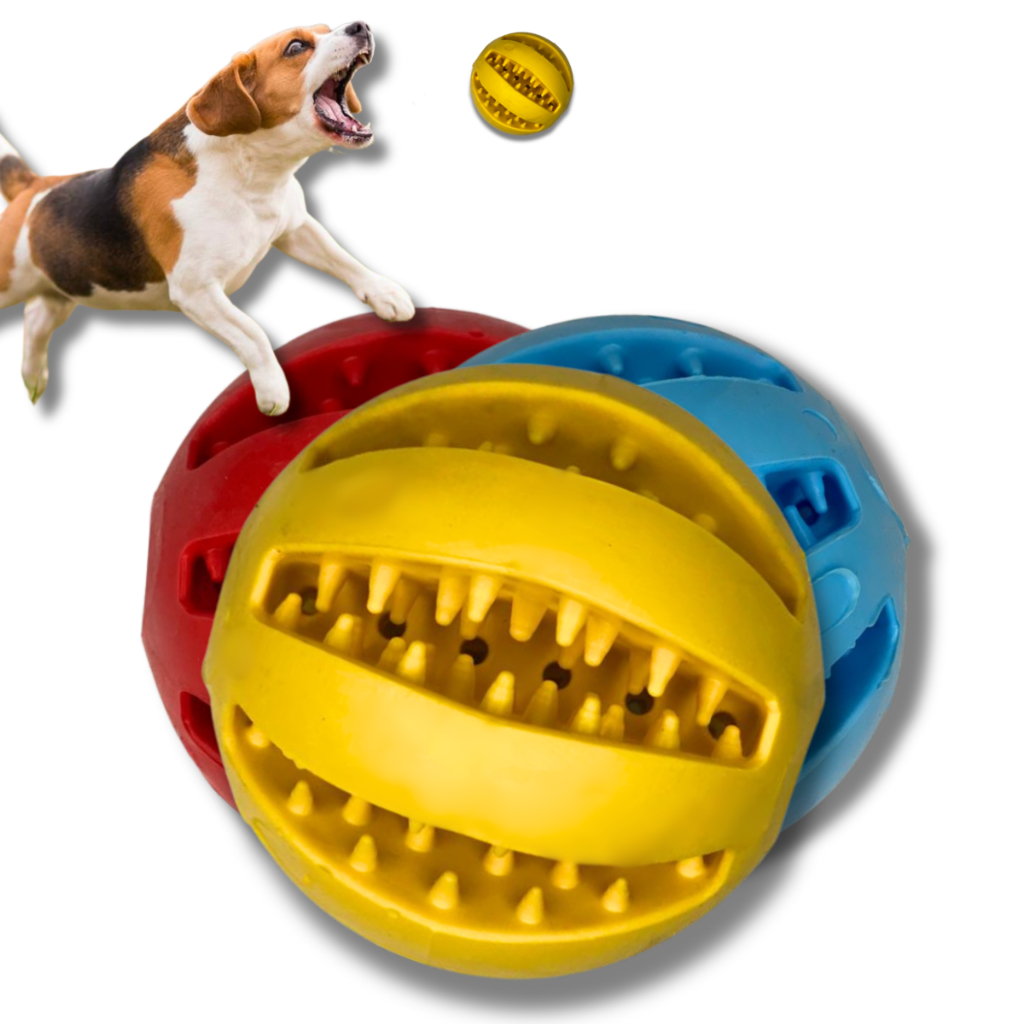 Bola de Brinquedo Pet Multifuncional - Escova Mordedor - Porta Petisco - Bolinha para Cachorro Gato