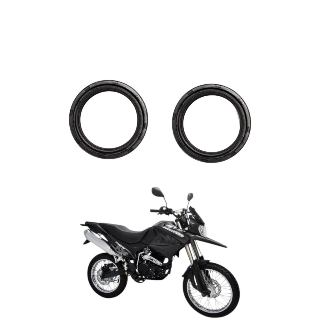 Retentor De Bengala Shineray Discover250 — imagem 2 de 2