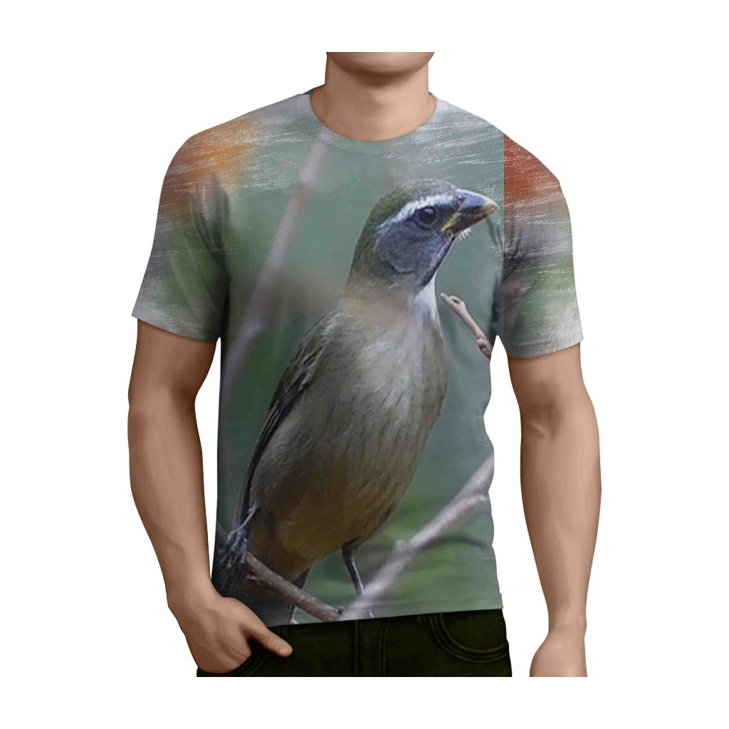 camisa camiseta de passarinho modelo de trinca ferro pixarro canto bom dia seu chico