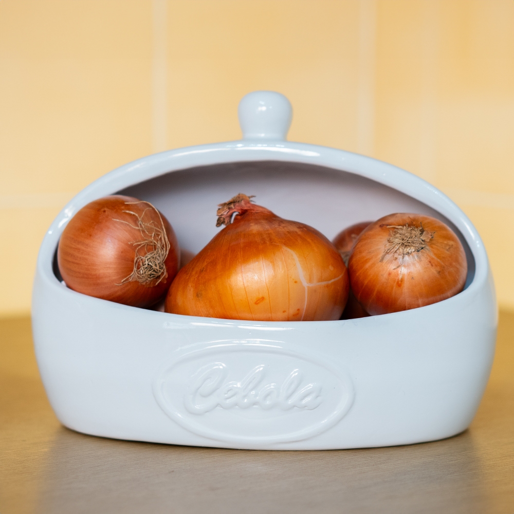 *LANÇAMENTO* Kit Condimentos Cebola Alho Feitos Ceramica Cozinha Armazenamento  Alimentos Terracota Decoração Pote