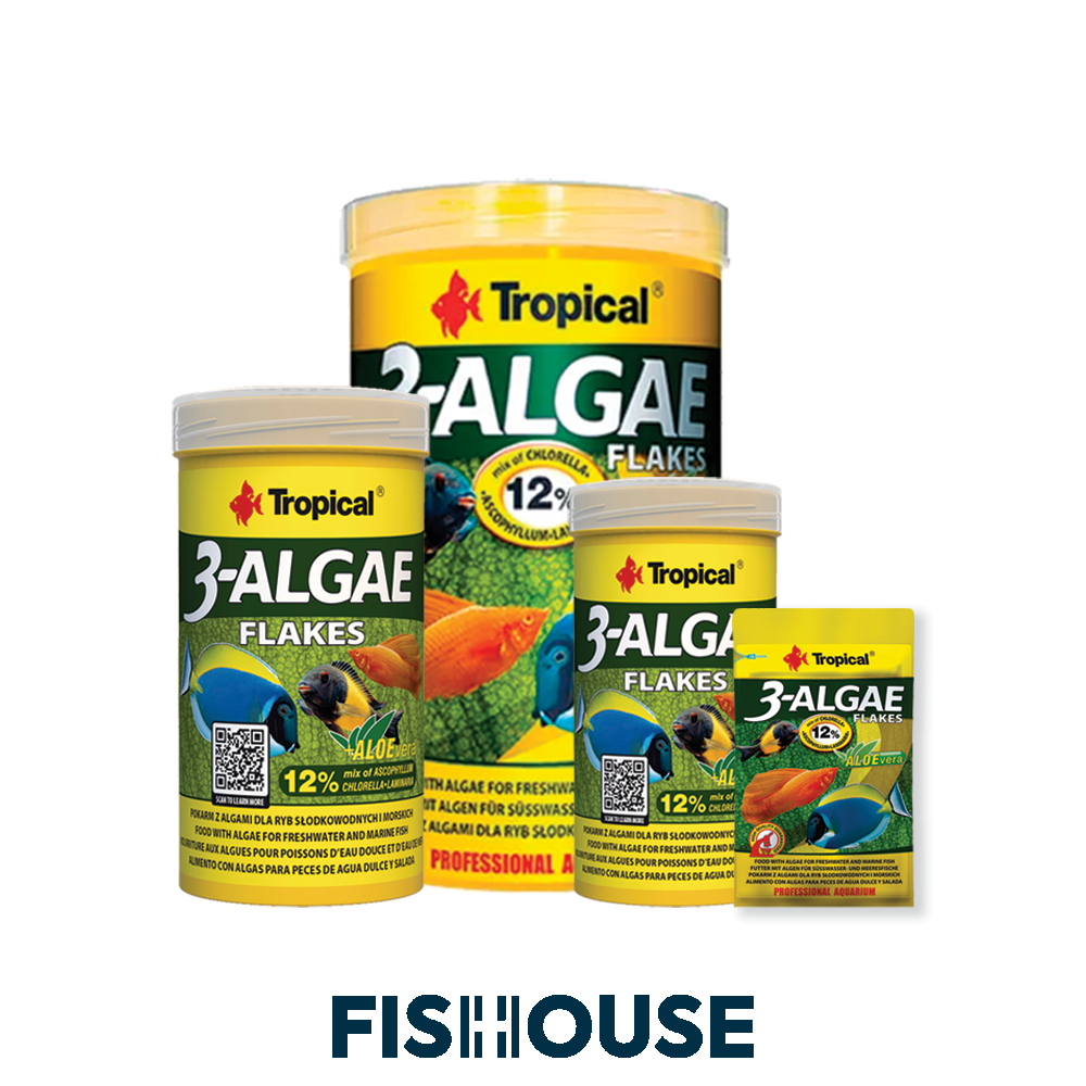 Ração para peixes - 3-Algae Flakes - Tropical