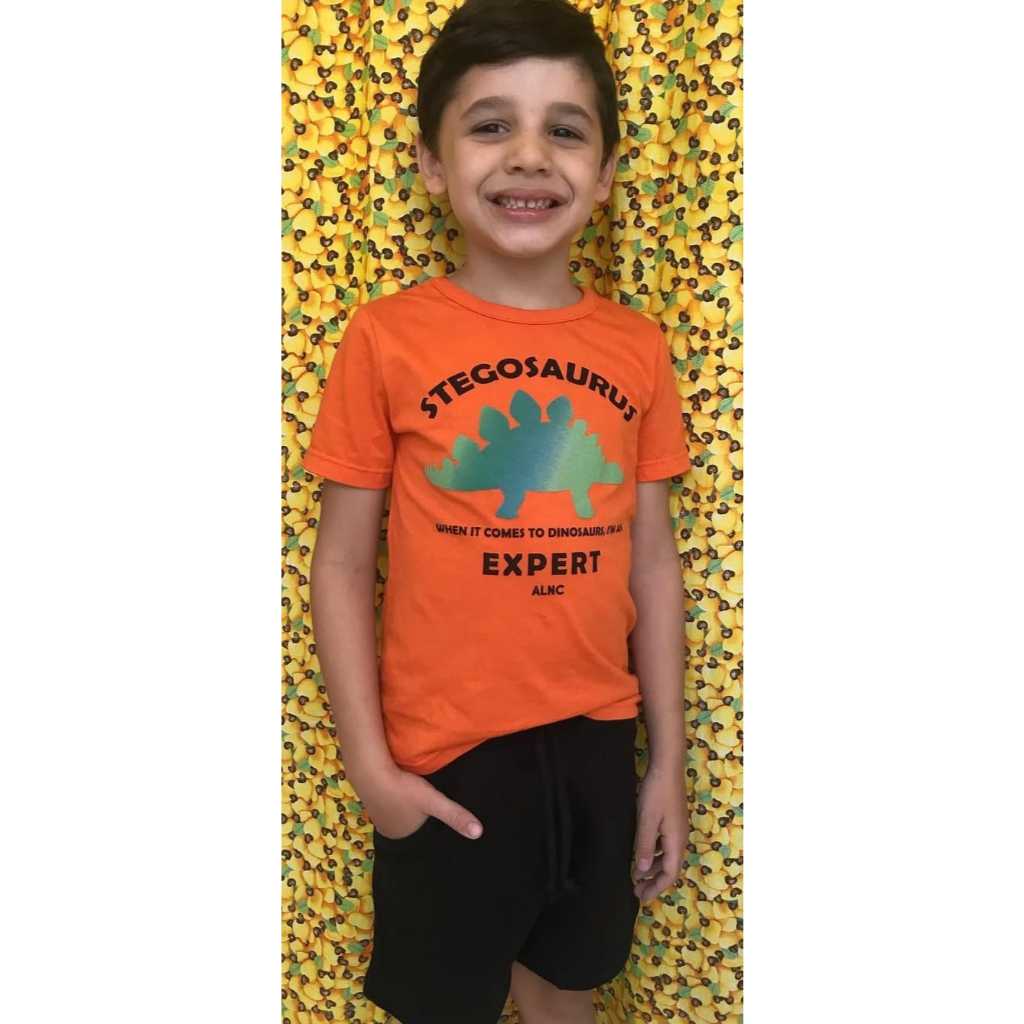 Conjunto Camiseta Masculina e bermuda dinossauro, tamanho 1, laranja e preto