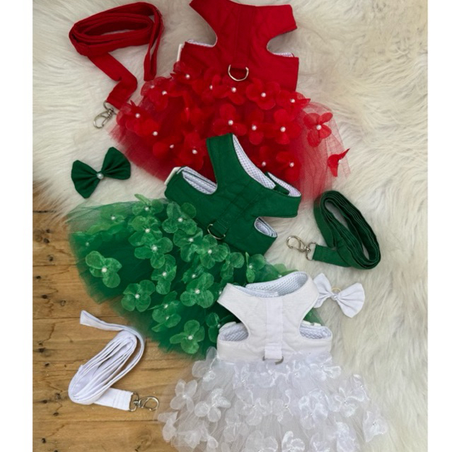 Peitoral Chloe + guia + laço em Oferta na Shopee