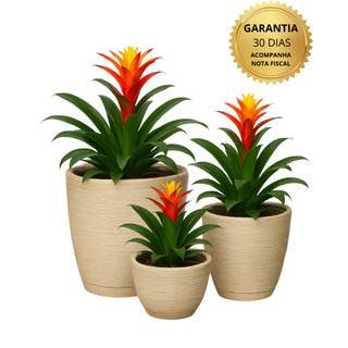Kit 3 Vasos para Plantas Decorativo Cone Bacia em Polietileno Escovado Bege Interior e Exterior Luxo em Oferta na Shopee