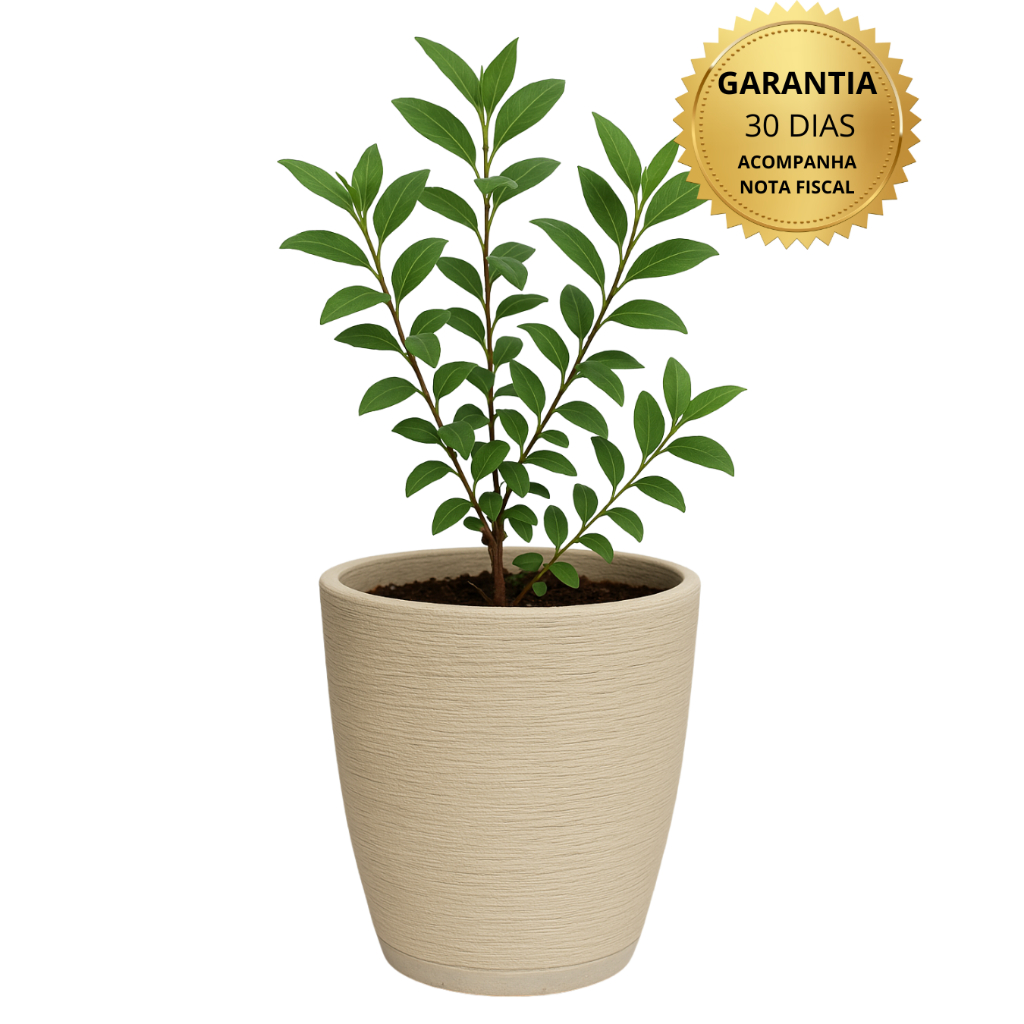 Vaso para plantas Cor Bege Decorativo em Polietileno redondo escovado com prato coletor