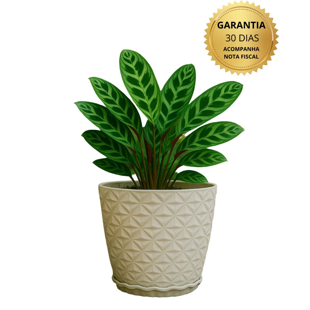 Vaso para planta decorativo em polietileno redondo estilo diamante PP COM PRATO bege - Home & Living