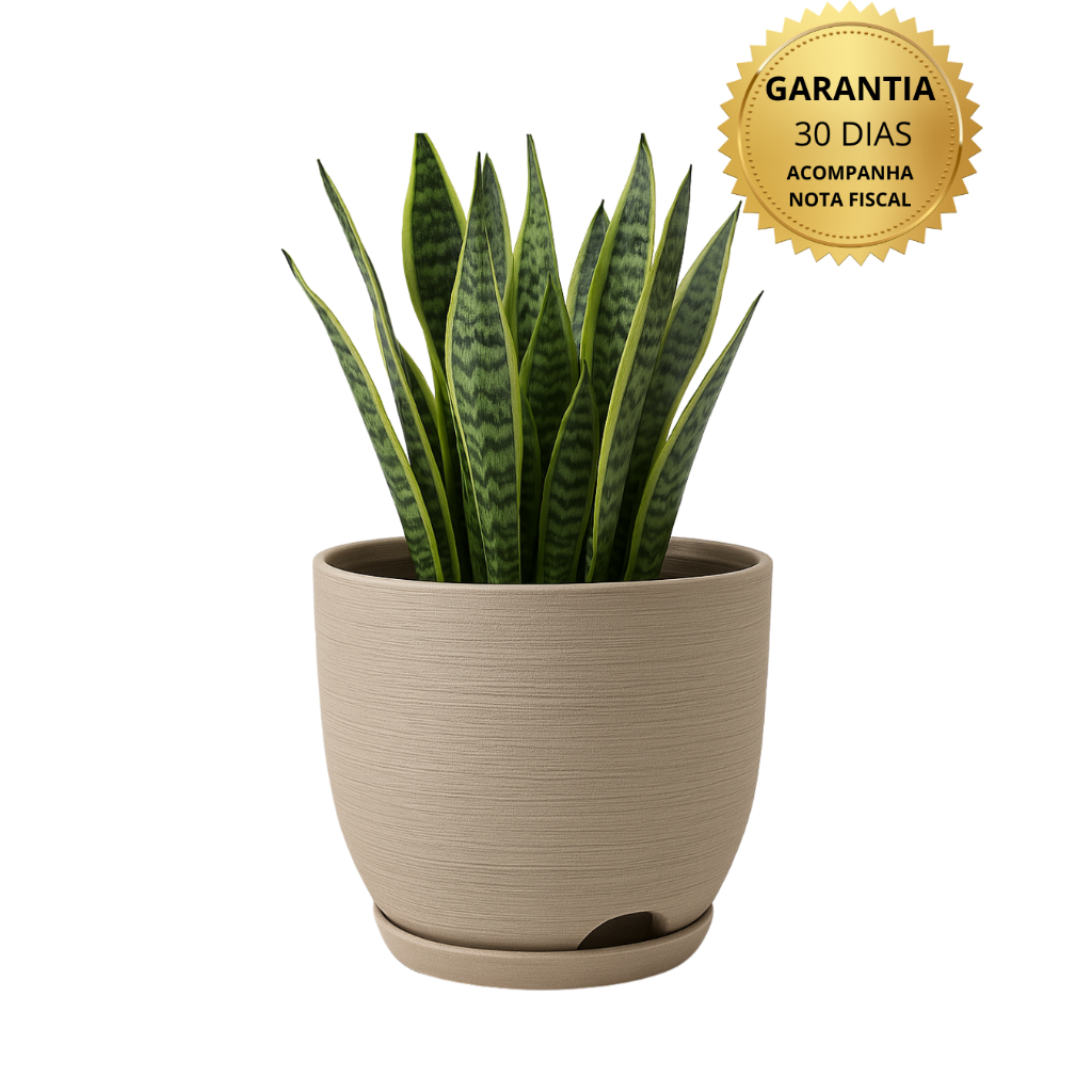 Vaso Polietileno Cor Bege Para Plantas Jardim Sala Luxo escovado bojo pequeno Com Prato