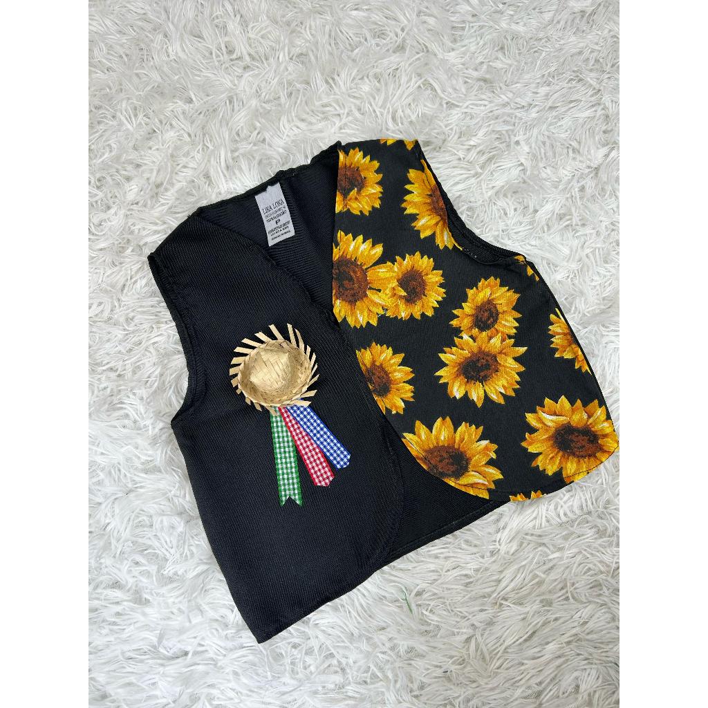 Chapéu de Palha de Quadrilha: Onde Comprar | BuscaProdutos