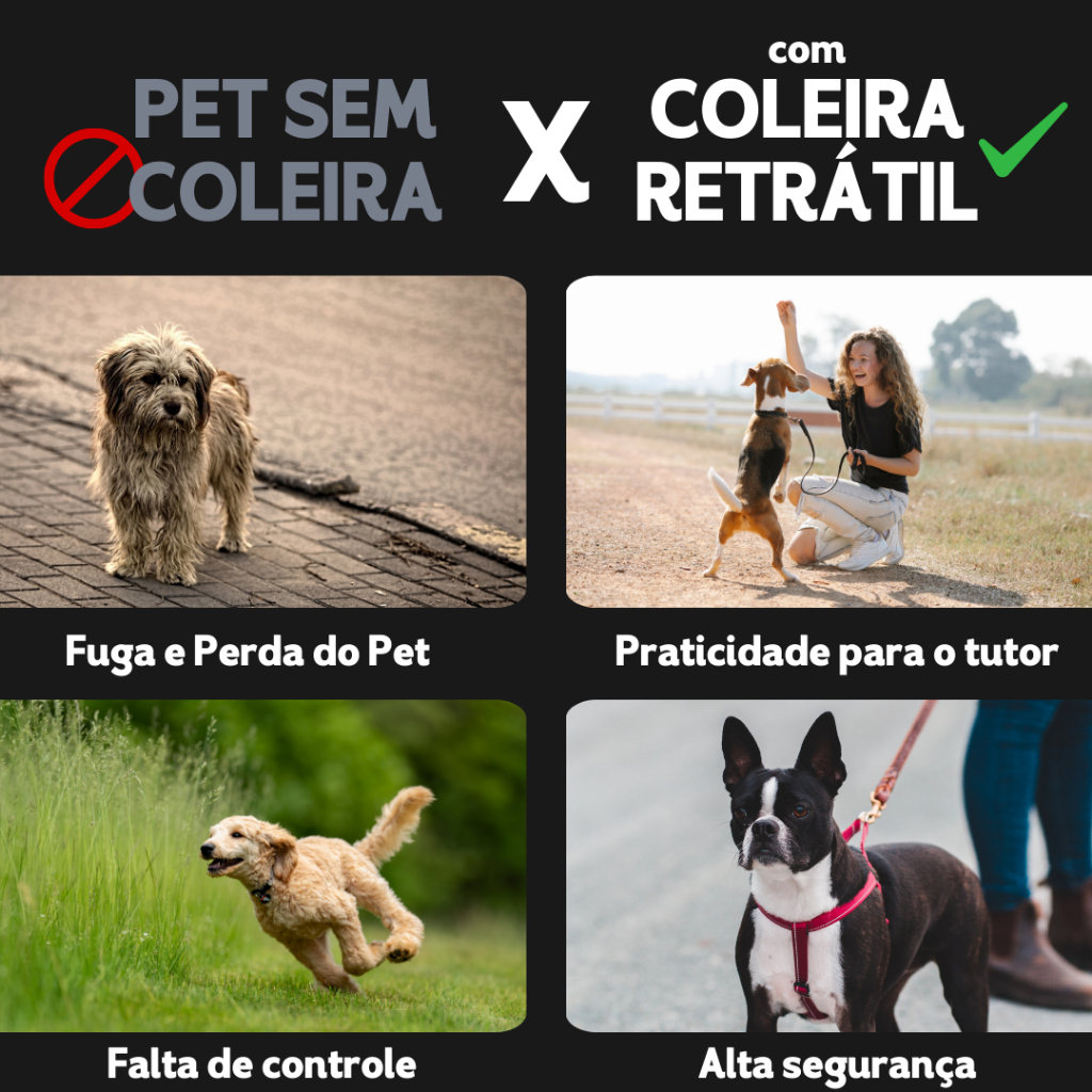 Coleira Pet Guia Retrátil 5 Metros Com Trava Resistente e Segura Para cães e Gatos - BC