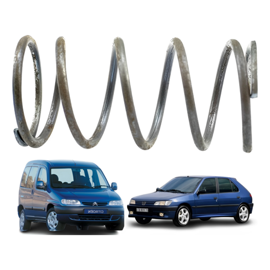 Mola Apoio Trizeta Peugeot 100/205/206/207 306/307 63614
