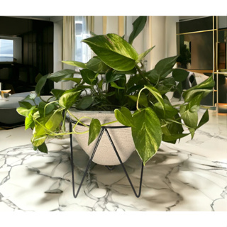 5 Suporte tripé 18x15cm para vaso de planta em Oferta na Shopee