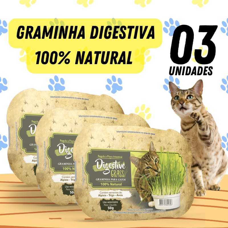 3 UN Graminha Gato Auxilia Digestão Pet Elimina Toxinas Digestive Grass Ipet 50g em Oferta na Shopee