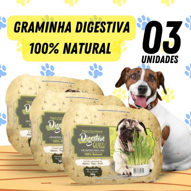 3UN Graminha Cachorro Auxilia digestão pet Elimina toxinas Digestive Grass Ipet 50g em Oferta na Shopee
