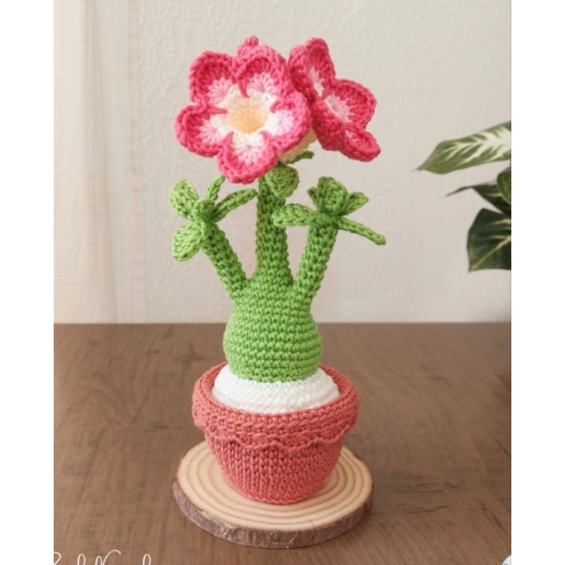 Vaso Rosa do Deserto amigurumi croche