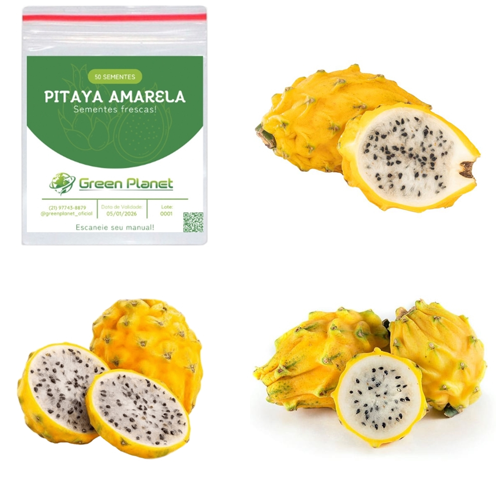 50 Sementes de Pitaya Amarela - Faça sua Horta!