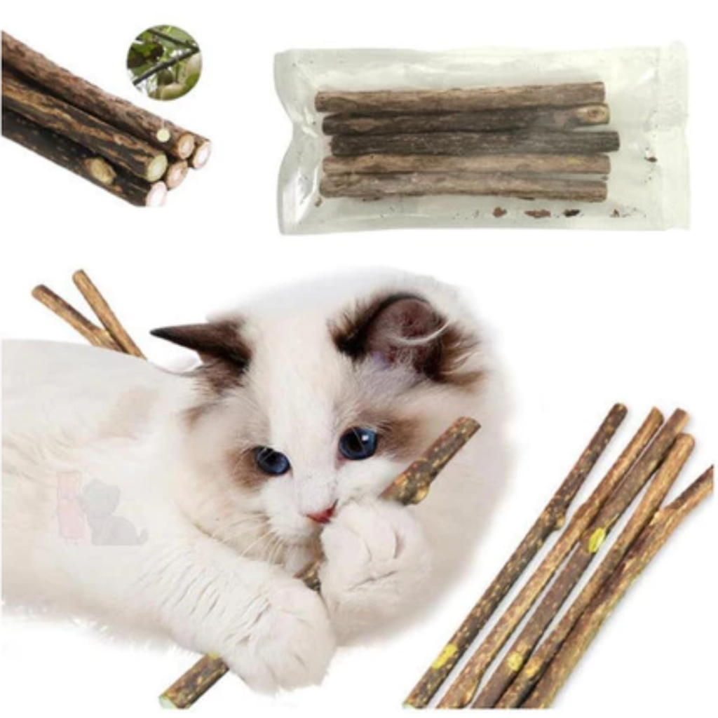 Kit Varas Gravetos Matatabi Catnip Limpa Dentes e Deixa o Gato Feliz Anti Stress
