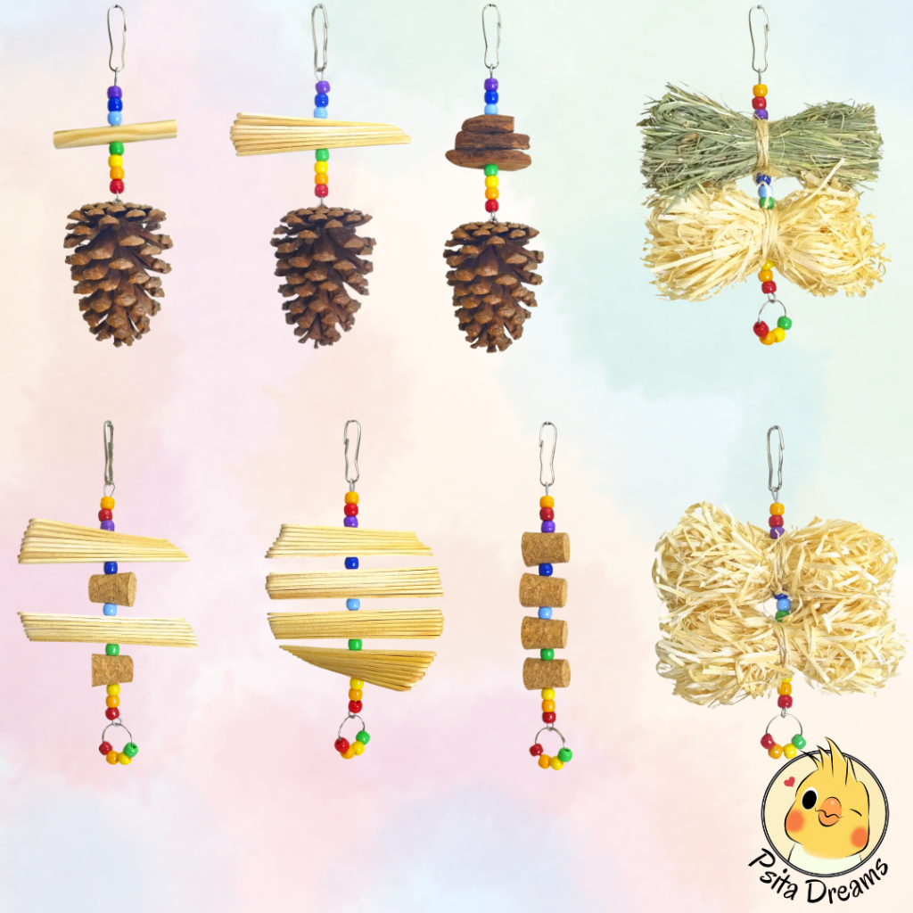 Kit de Penduricalhos Arco-Íris, Brinquedo Calopsita, Agapornis, Periquito, acessórios para gaiola, poleiro, escada
