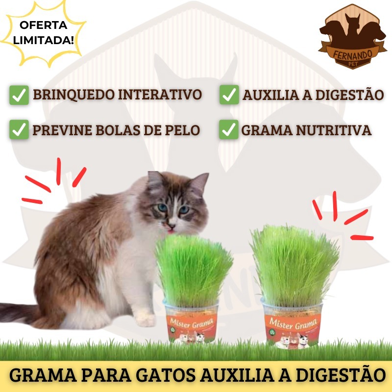 Graminha Petisco para Gato Natural Elimina Bola de Pelo Auxilia na Digestão + Envio Imedia...