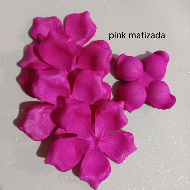 Rosa g e botão conjugada em Eva matizadas