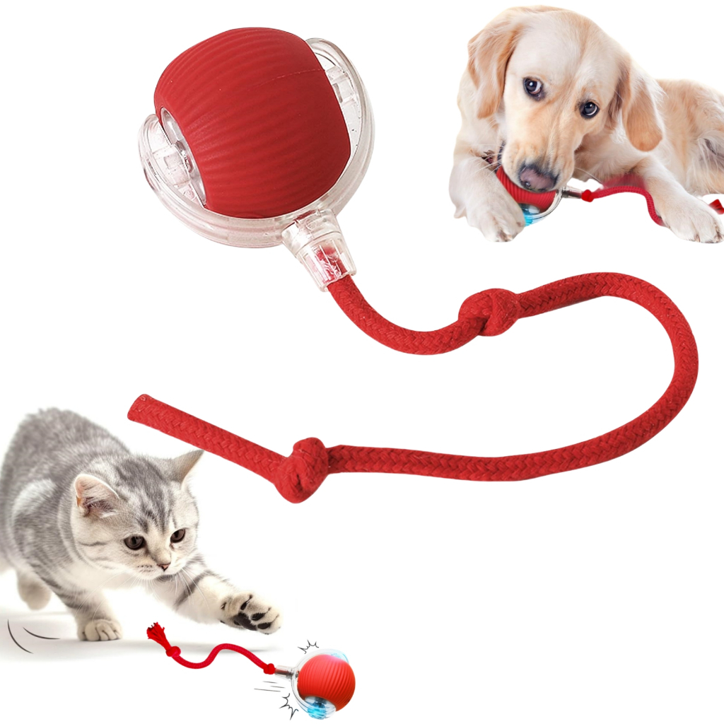 Função de despertar Brinquedos Inteligentes Para Gatos Bola De Rolamento Automática Cauda ...